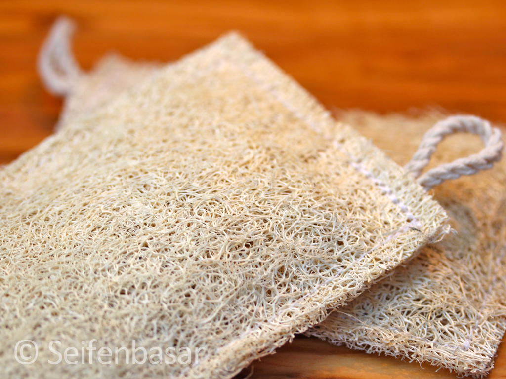 Loofah dish sponge